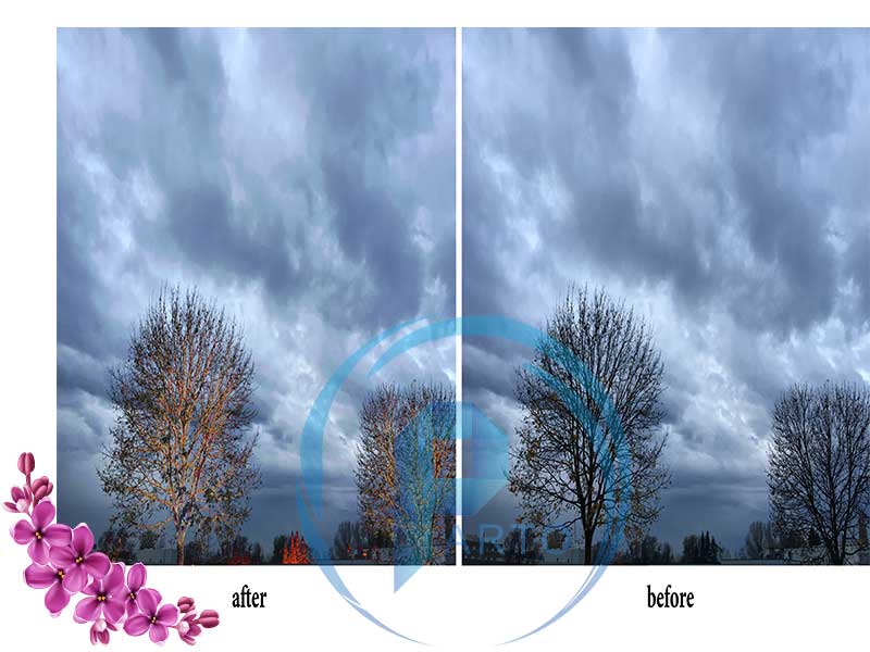 tree-photoshop-automn